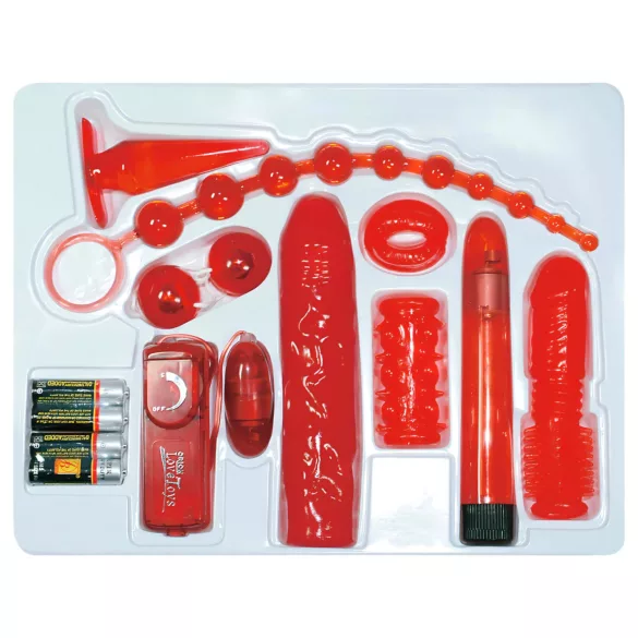 You2Toys - вибрационен комплект червени рози - 9 части
