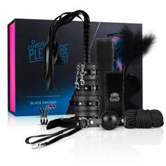   Secret Pleasure Chest - BDSM комплект за напреднали - 14 части (черен)