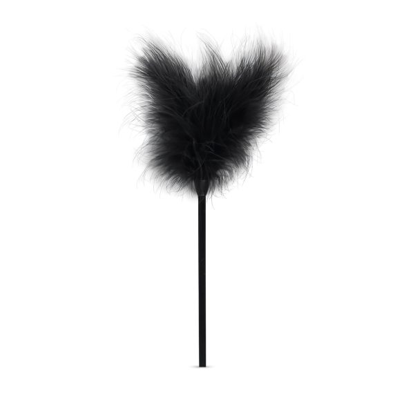 Secret Pleasure Chest - напреднало BDSM комплект - 14 части (черен)