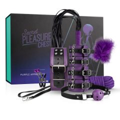   Secret Pleasure Chest - BDSM комплект за напреднали (14 части)